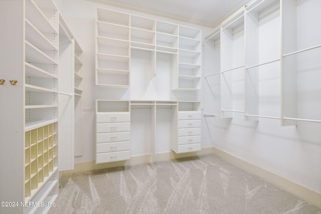 walk in closet featuring light carpet