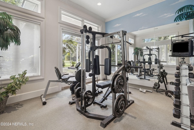 exercise room with ornamental molding and carpet