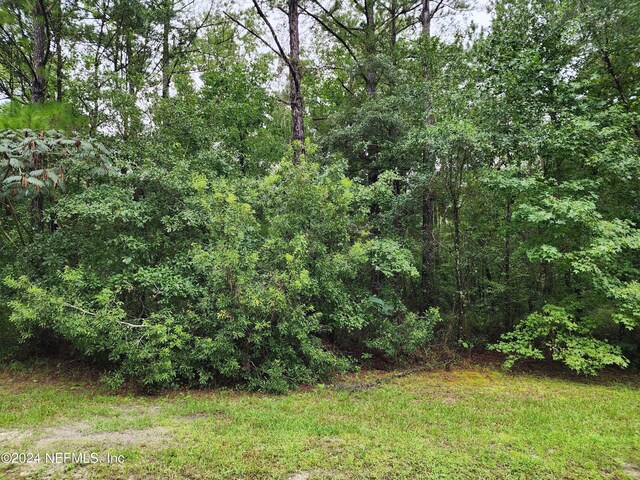 Listing photo 3 for 0 Skipper Rd, Middleburg FL 32068