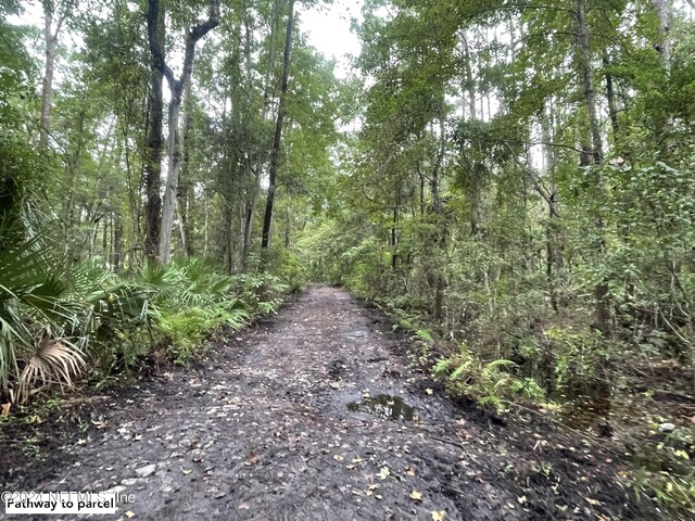 0 Utsey Rd, Jacksonville, FL 32219 - photo 6