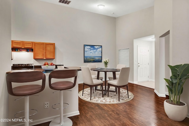 kitchen with black / electric stove, a high ceiling, and dark hardwood / wood-style flooring