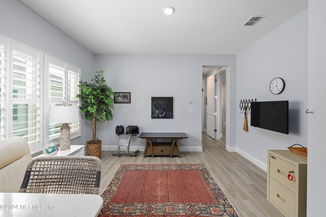 living room featuring light wood-type flooring