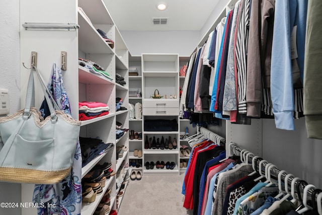 walk in closet with light carpet