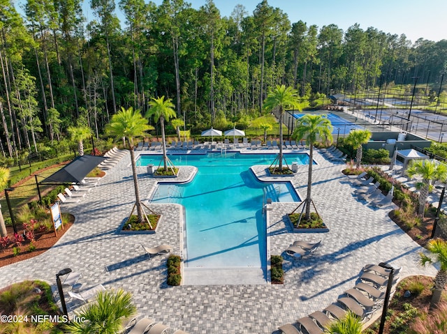 view of swimming pool with a patio