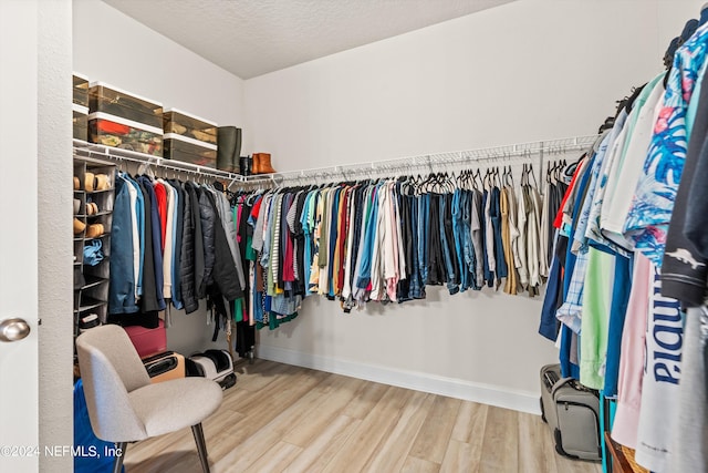 spacious closet featuring wood-type flooring