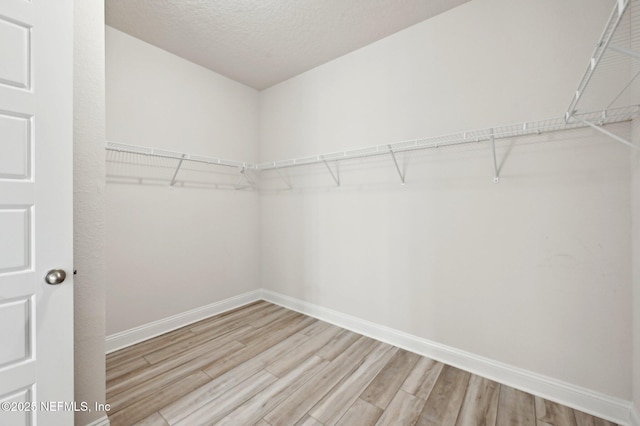 walk in closet with light wood-type flooring