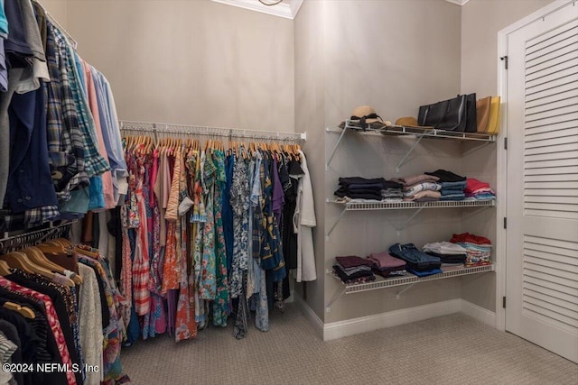 spacious closet featuring carpet