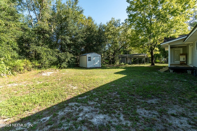 view of yard with a storage unit