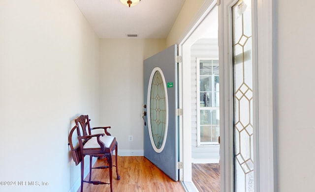 foyer entrance featuring wood-type flooring