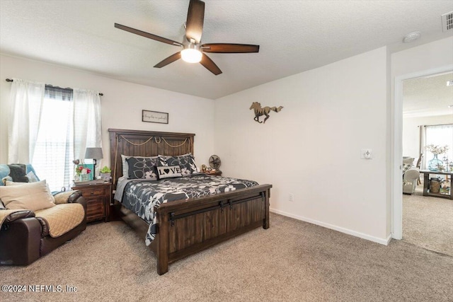 carpeted bedroom with ceiling fan, a textured ceiling, and multiple windows