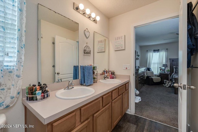 bathroom featuring vanity and hardwood / wood-style floors