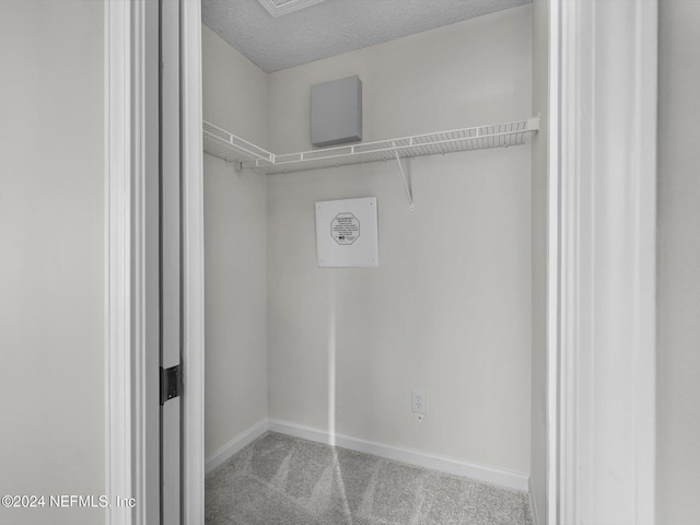 spacious closet with carpet flooring