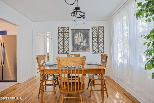 dining room with light hardwood / wood-style floors