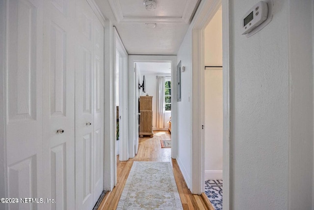 hallway with light hardwood / wood-style flooring and ornamental molding