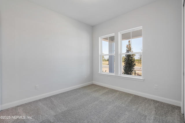 unfurnished room with carpet flooring and a wealth of natural light