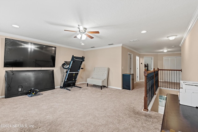 workout room featuring ceiling fan, a textured ceiling, ornamental molding, and carpet