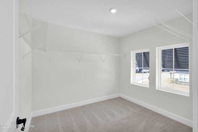 spacious closet with carpet