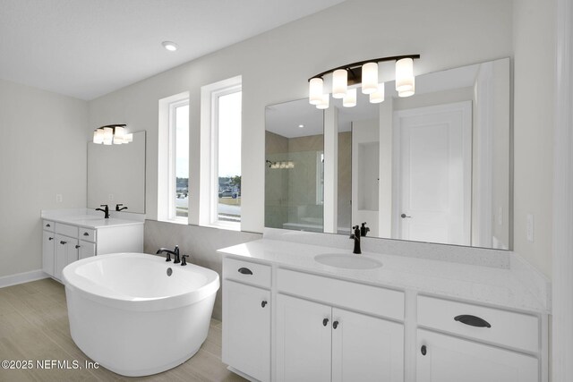 bathroom featuring hardwood / wood-style flooring, plus walk in shower, and vanity