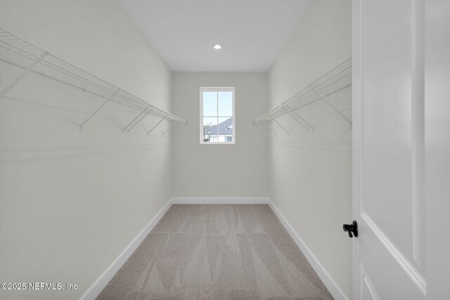 spacious closet featuring carpet flooring