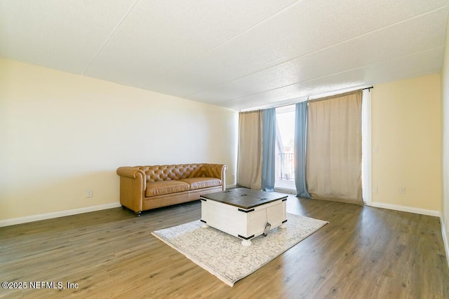 living room featuring hardwood / wood-style floors