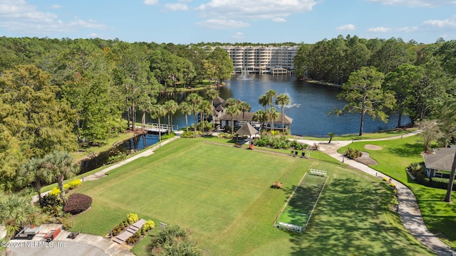 bird's eye view with a water view