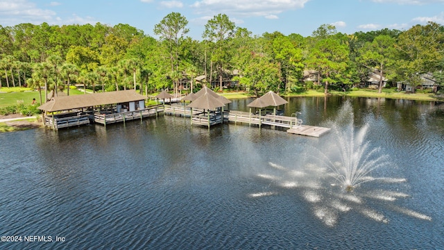 dock area with a water view