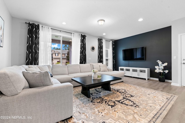 living room featuring hardwood / wood-style flooring