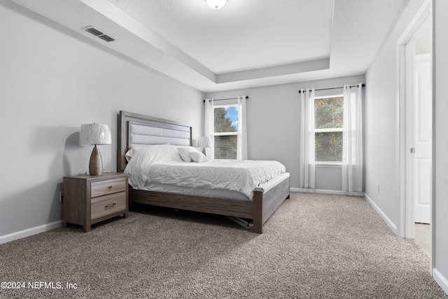 bedroom featuring a raised ceiling and carpet floors