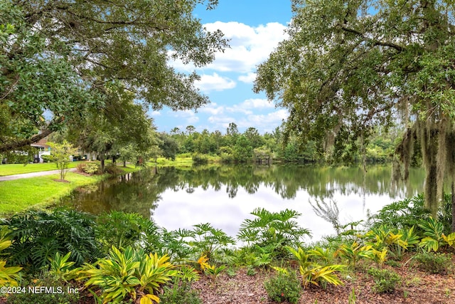 view of water feature