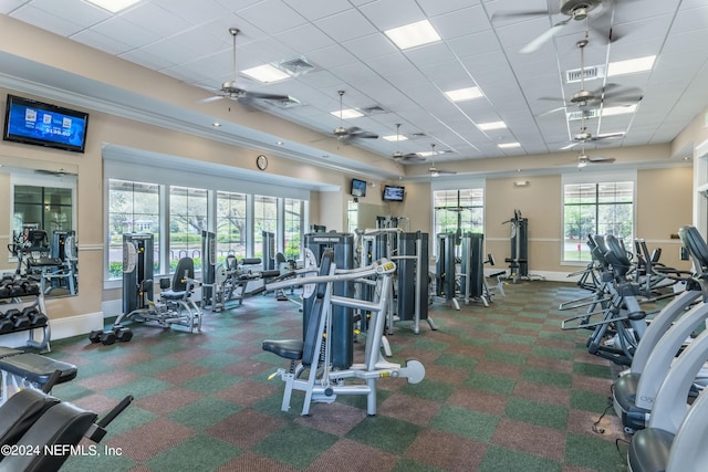 workout area featuring dark colored carpet, ceiling fan, and a paneled ceiling