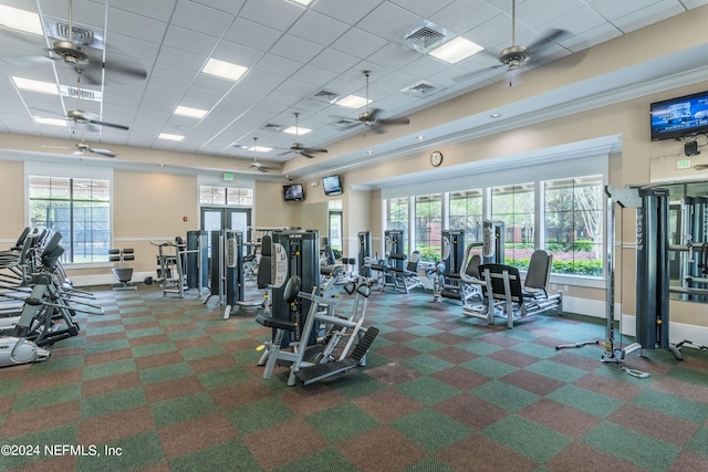 workout area with ceiling fan, a drop ceiling, plenty of natural light, and dark colored carpet