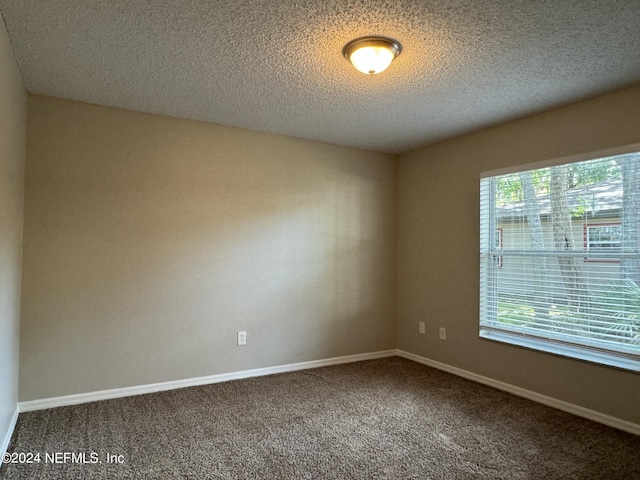 carpeted spare room with baseboards, a textured ceiling, and a healthy amount of sunlight
