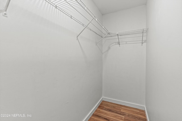 walk in closet with hardwood / wood-style flooring