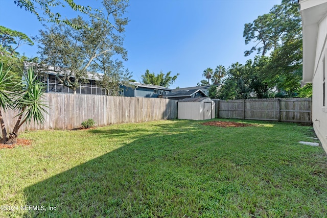 view of yard featuring a shed