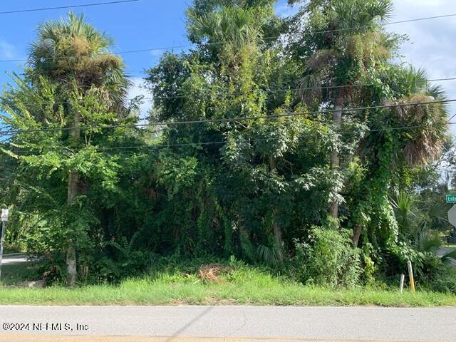 Listing photo 3 for 0 Hickory St, New Smyrna Beach FL 32168