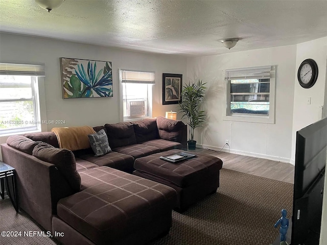 living room featuring a textured ceiling and hardwood / wood-style floors