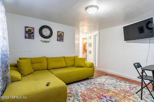 living room with wood-type flooring