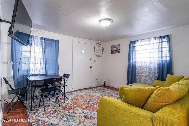 living room featuring a textured ceiling, wood-type flooring, and a wealth of natural light