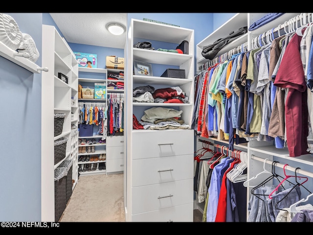 walk in closet with light colored carpet