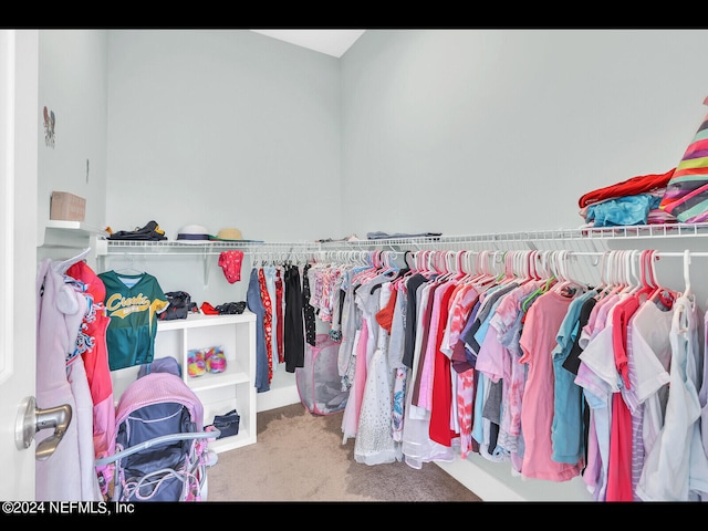 spacious closet featuring carpet flooring