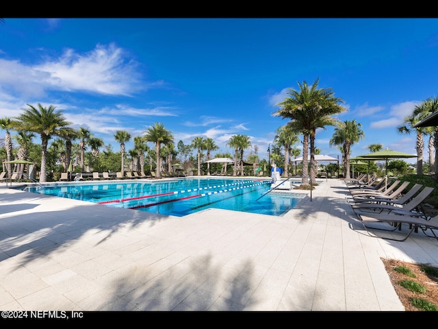 view of swimming pool with a patio area