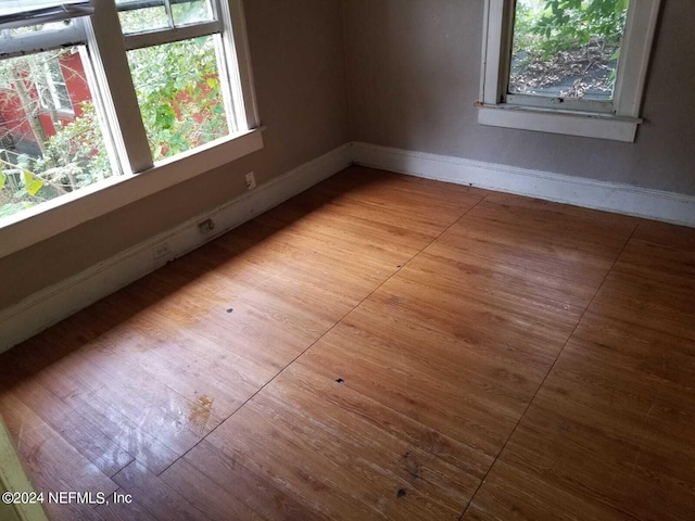 unfurnished room with light hardwood / wood-style flooring and a wealth of natural light