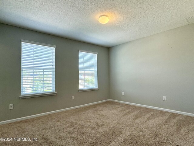 empty room with carpet, a textured ceiling, and a healthy amount of sunlight