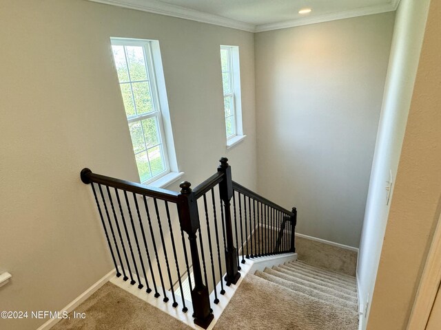 stairway with a healthy amount of sunlight, carpet floors, and ornamental molding