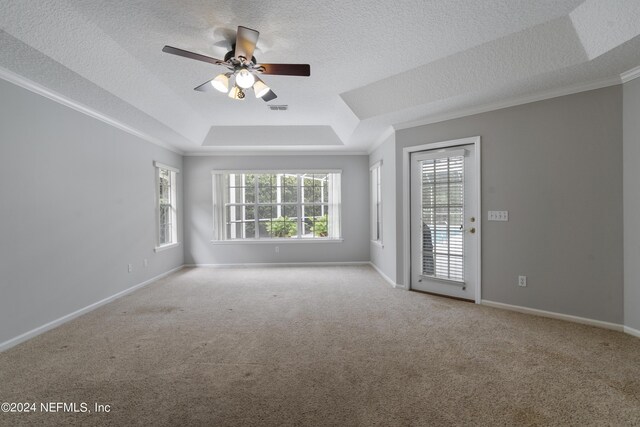 carpeted empty room featuring ornamental molding, ceiling fan, a raised ceiling, and a textured ceiling