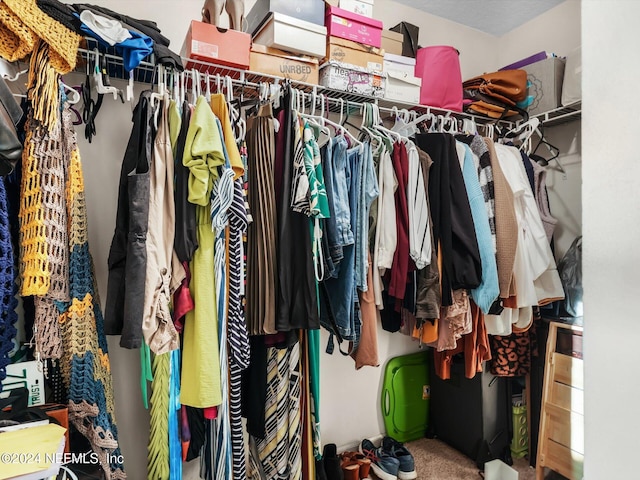 view of walk in closet