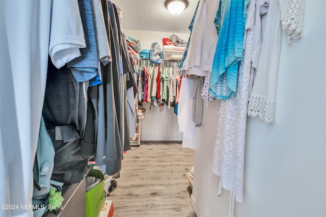 spacious closet with light hardwood / wood-style flooring