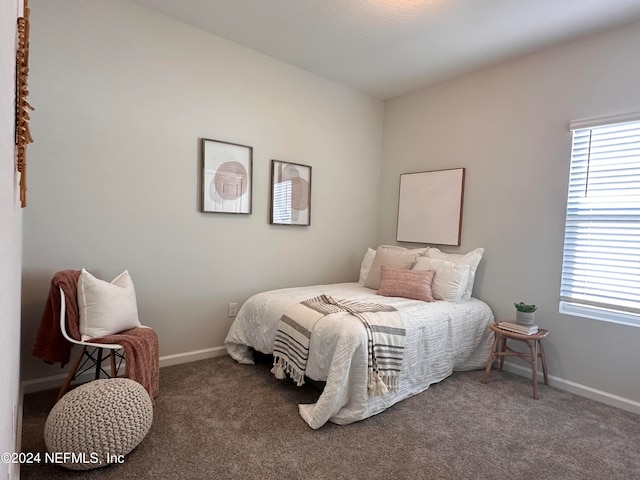 bedroom with carpet flooring