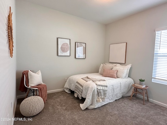 bedroom featuring carpet