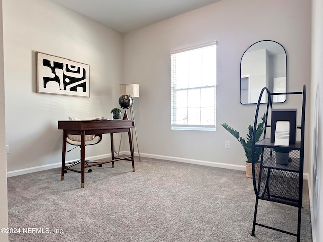 home office featuring carpet floors